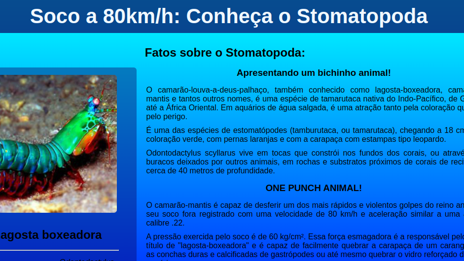 Lagosta Boxeadora thumb